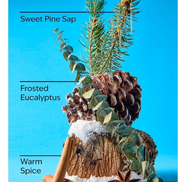 Bath & Body Works Green and Gold Holiday Candle - Picture 2 of 2